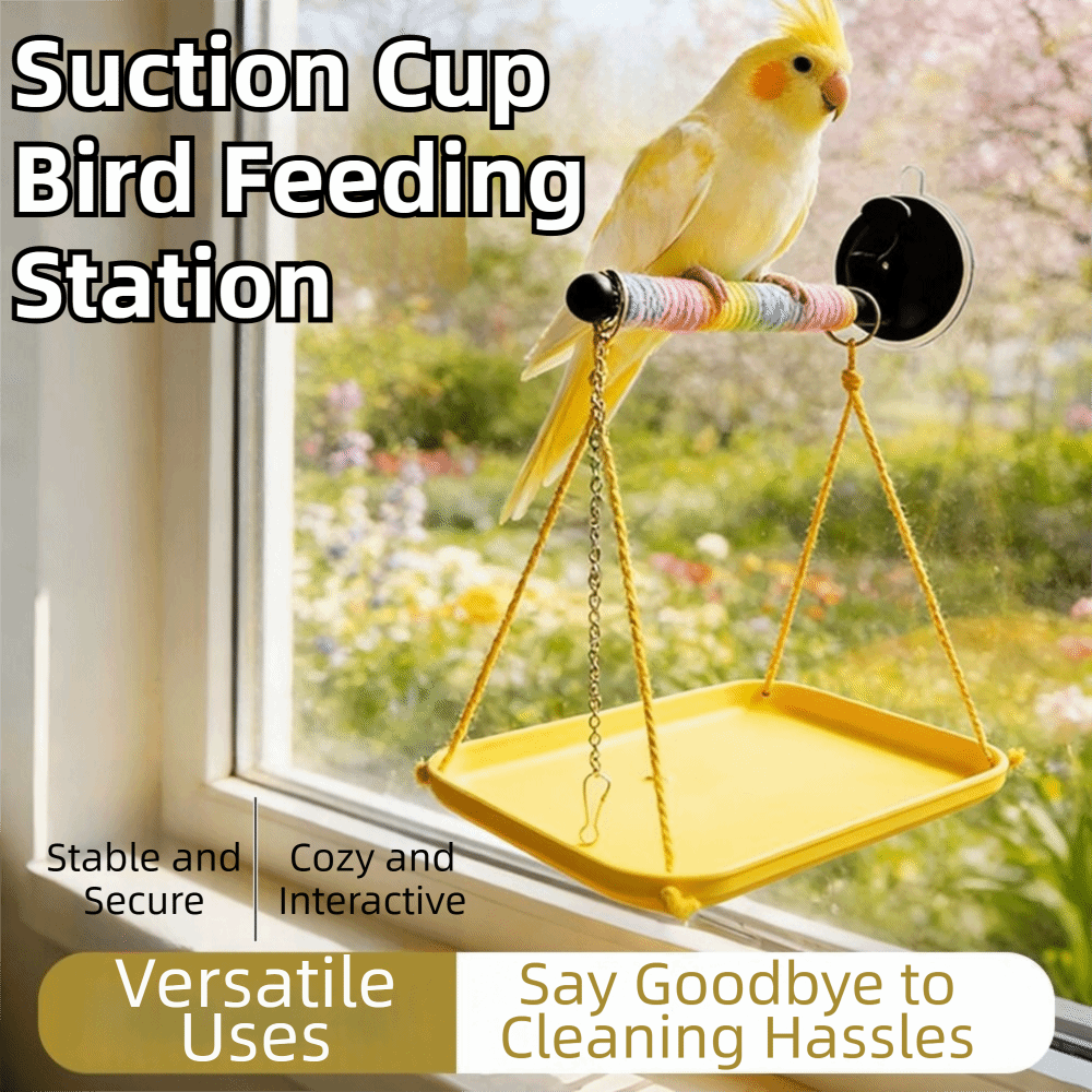 Colorful Bird Swing Hammock In - Hammock With Stand 评论和价格